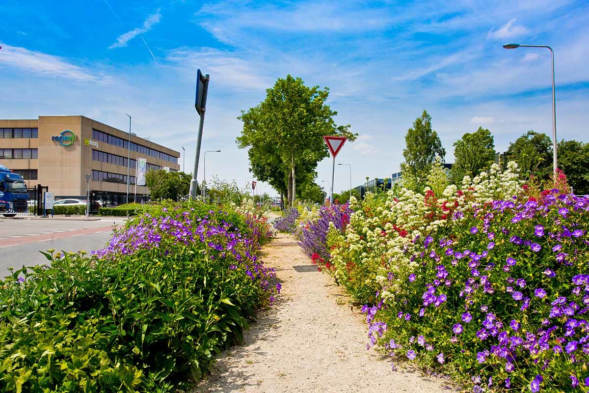 Een gezond natuur-, bodem- en watersysteem