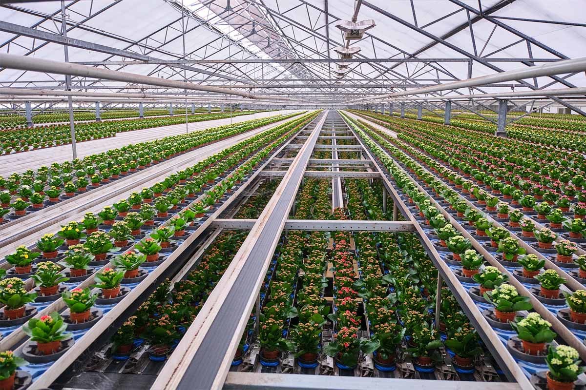 Land- en Tuinbouw